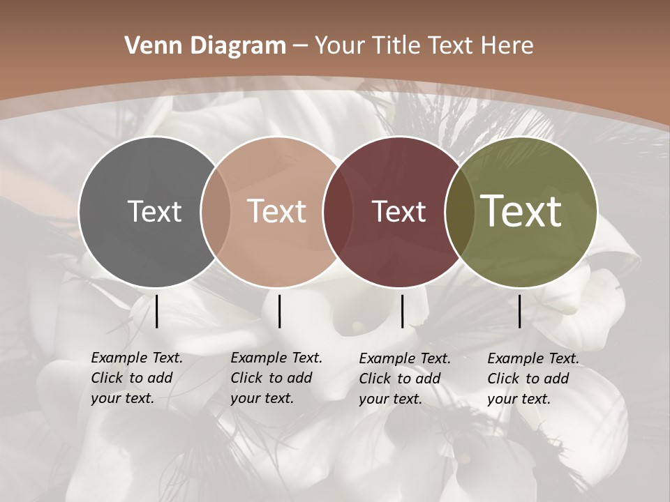 Bridal Beauty Ring PowerPoint Template