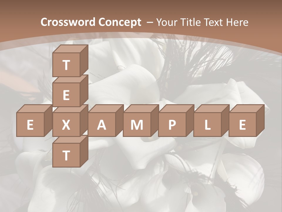 Bridal Beauty Ring PowerPoint Template