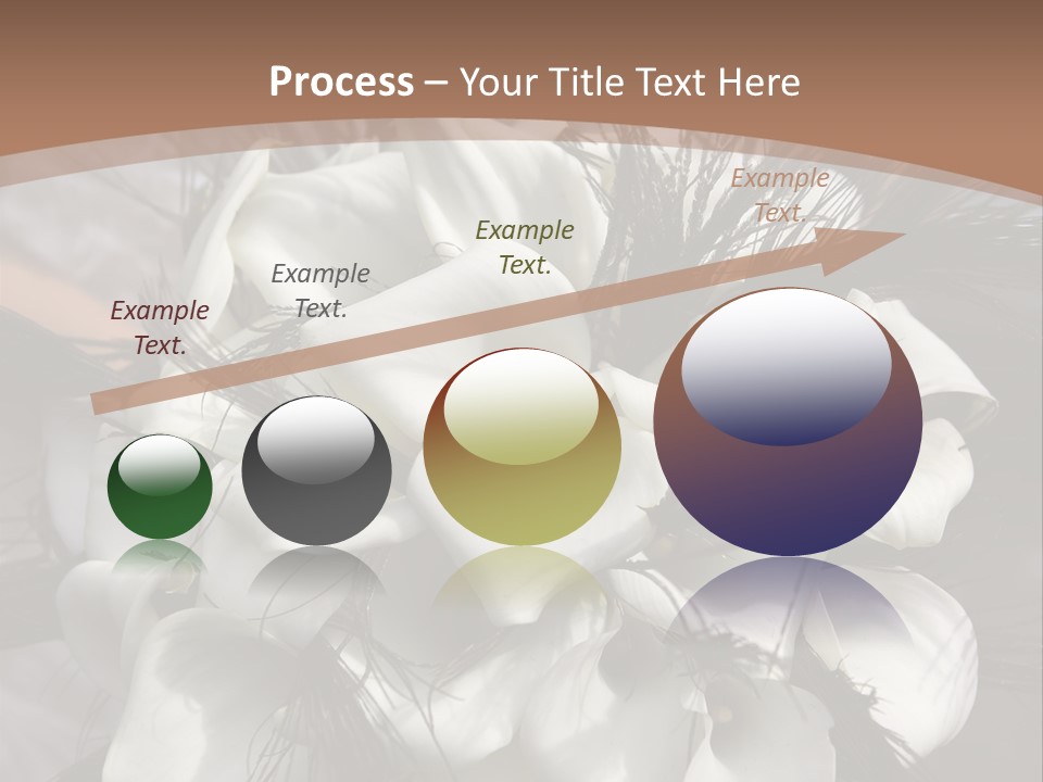 Bridal Beauty Ring PowerPoint Template