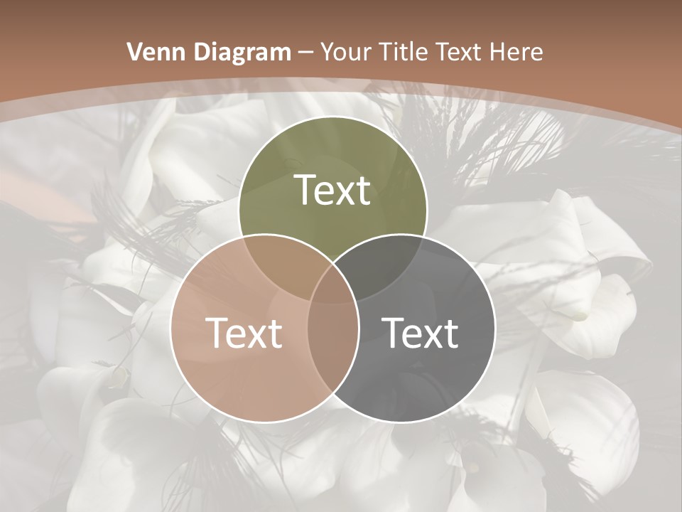 Bridal Beauty Ring PowerPoint Template