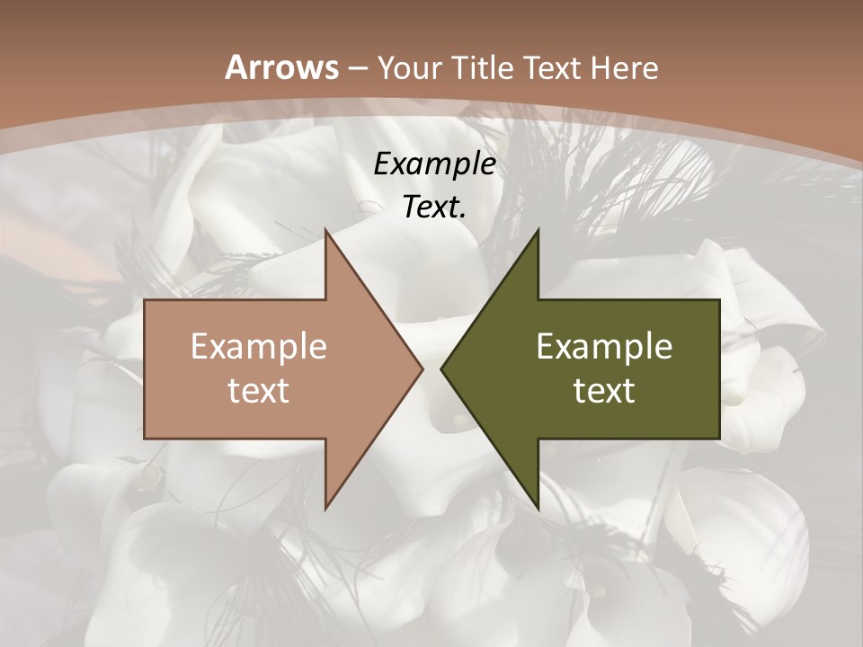 Bridal Beauty Ring PowerPoint Template