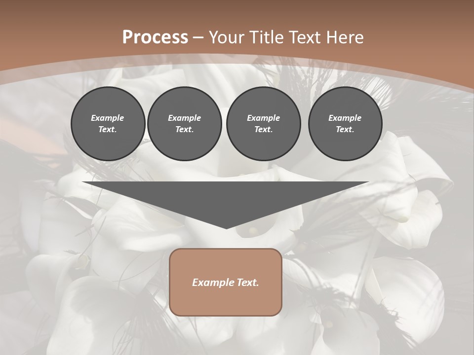 Bridal Beauty Ring PowerPoint Template