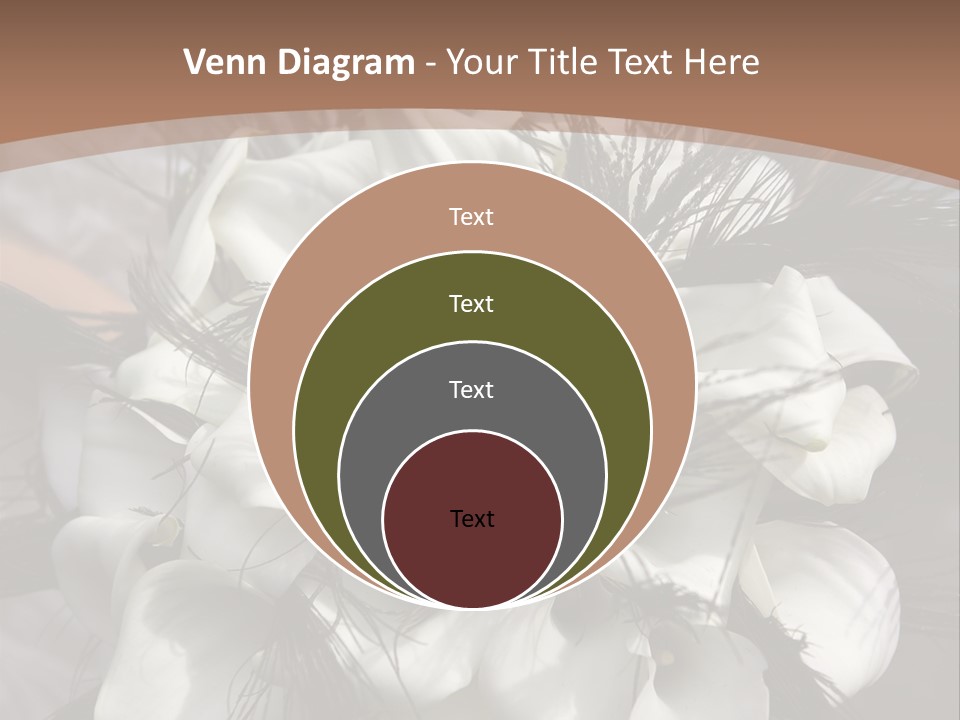 Bridal Beauty Ring PowerPoint Template