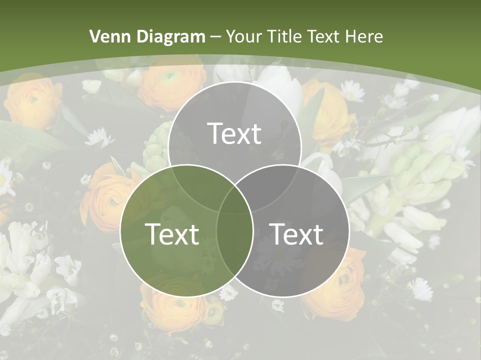 Garden Cart Jonquil PowerPoint Template