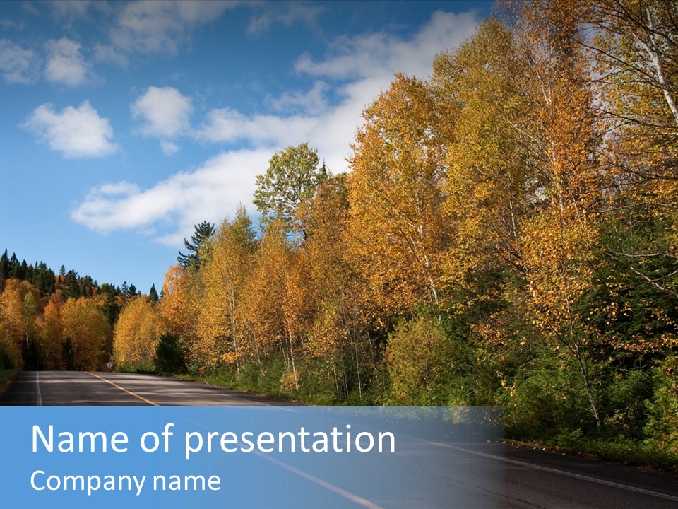 Autunm Trees Mountains PowerPoint Template