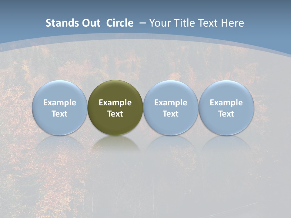 Autunm Red Season PowerPoint Template