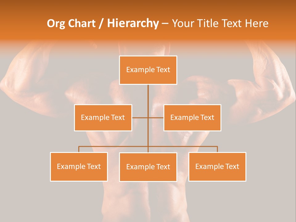 Posing Abdominal Body PowerPoint Template