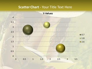 Years  Reading PowerPoint Template