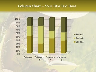 Years  Reading PowerPoint Template