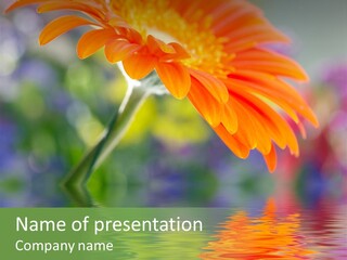 Gardens Orange Flora PowerPoint Template