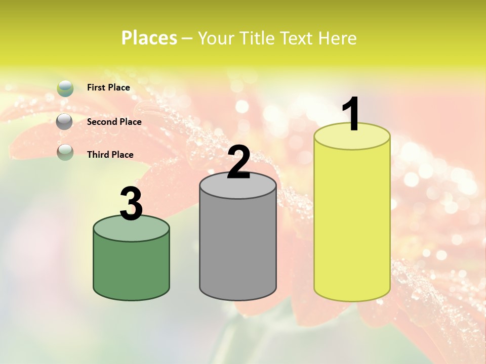 Beautiful Gerbera Petals PowerPoint Template