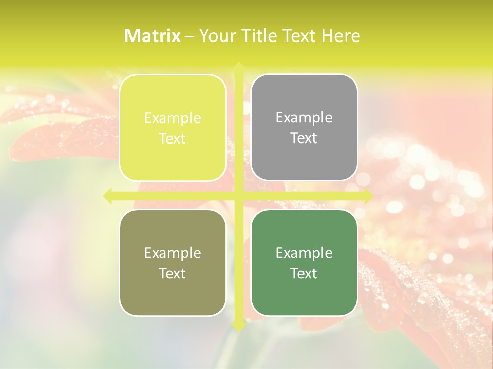 Beautiful Gerbera Petals PowerPoint Template