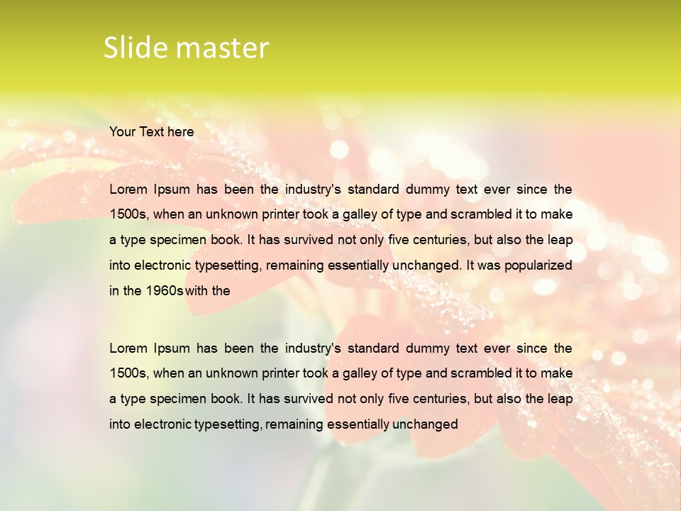 Beautiful Gerbera Petals PowerPoint Template
