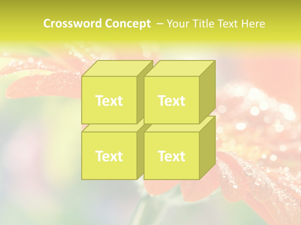 Beautiful Gerbera Petals PowerPoint Template
