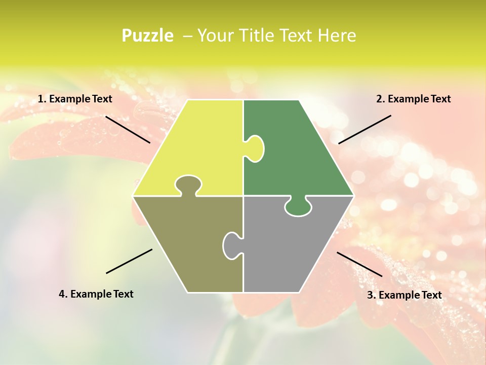 Beautiful Gerbera Petals PowerPoint Template