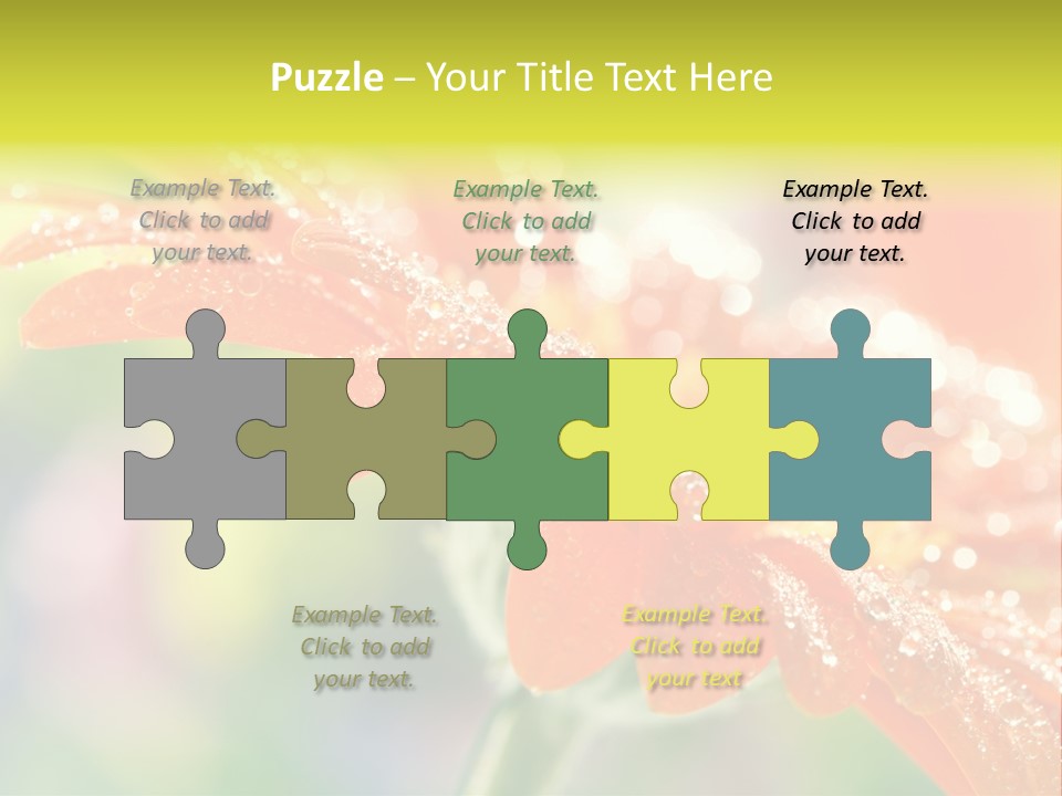 Beautiful Gerbera Petals PowerPoint Template