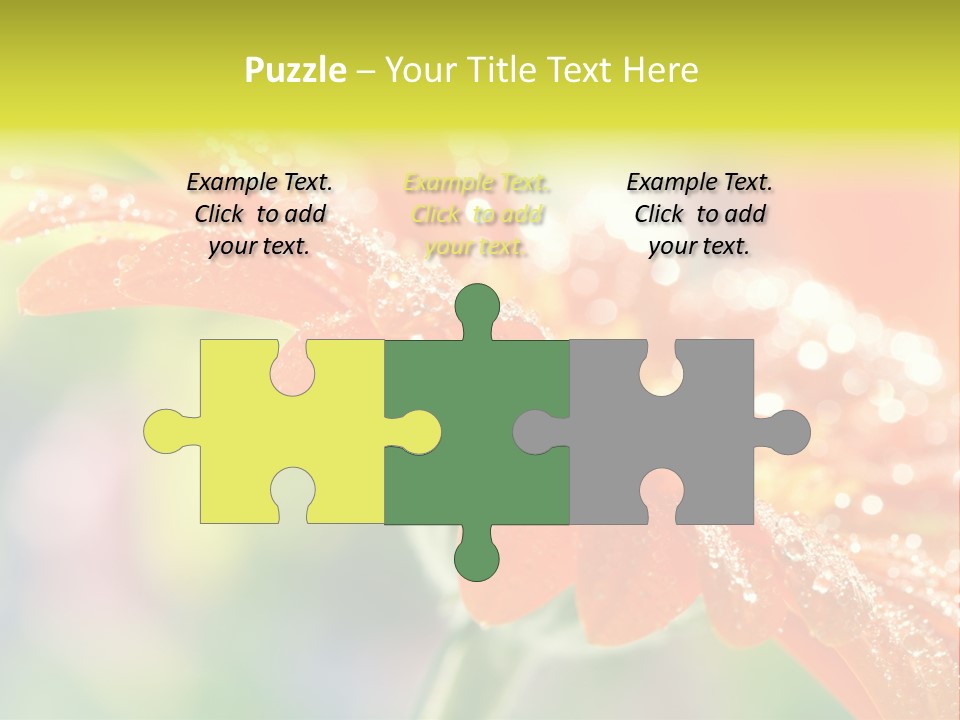 Beautiful Gerbera Petals PowerPoint Template