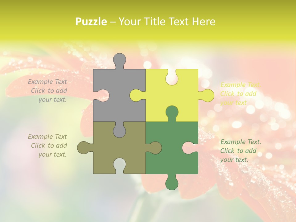 Beautiful Gerbera Petals PowerPoint Template