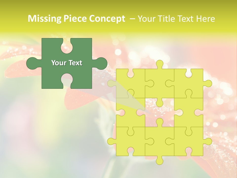 Beautiful Gerbera Petals PowerPoint Template