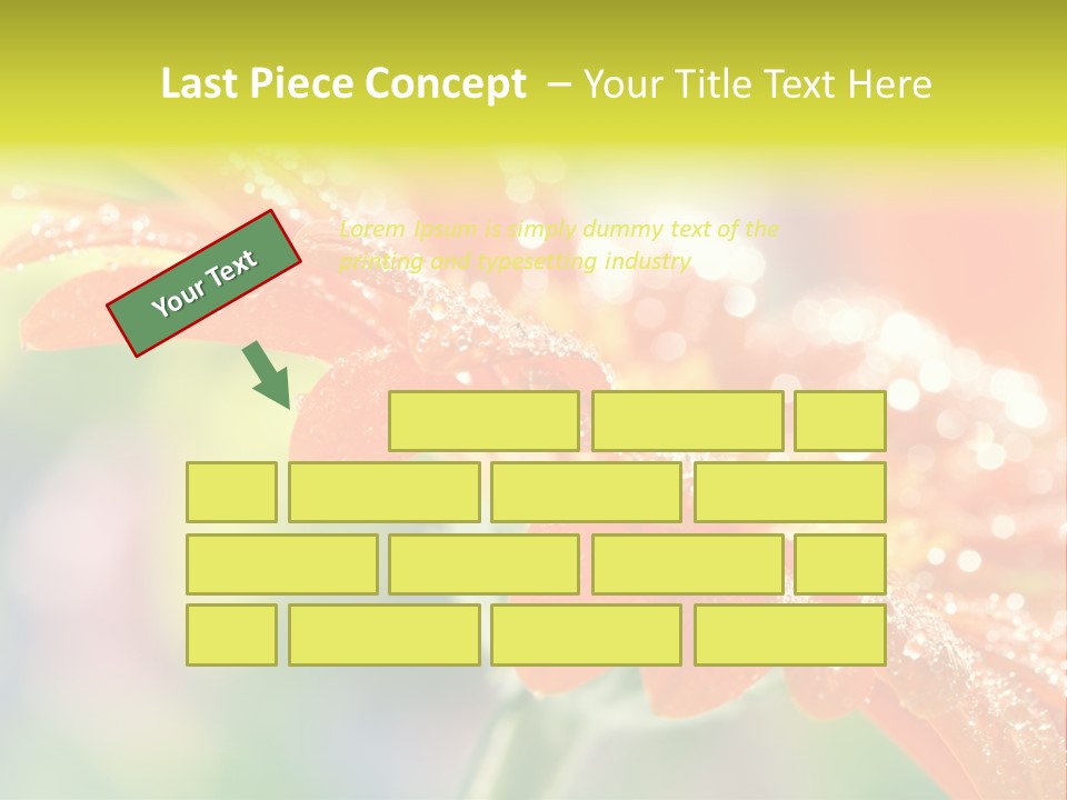 Beautiful Gerbera Petals PowerPoint Template