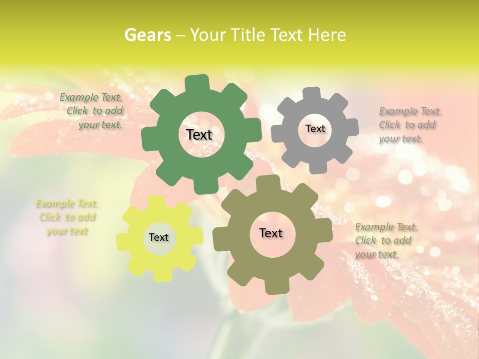 Beautiful Gerbera Petals PowerPoint Template