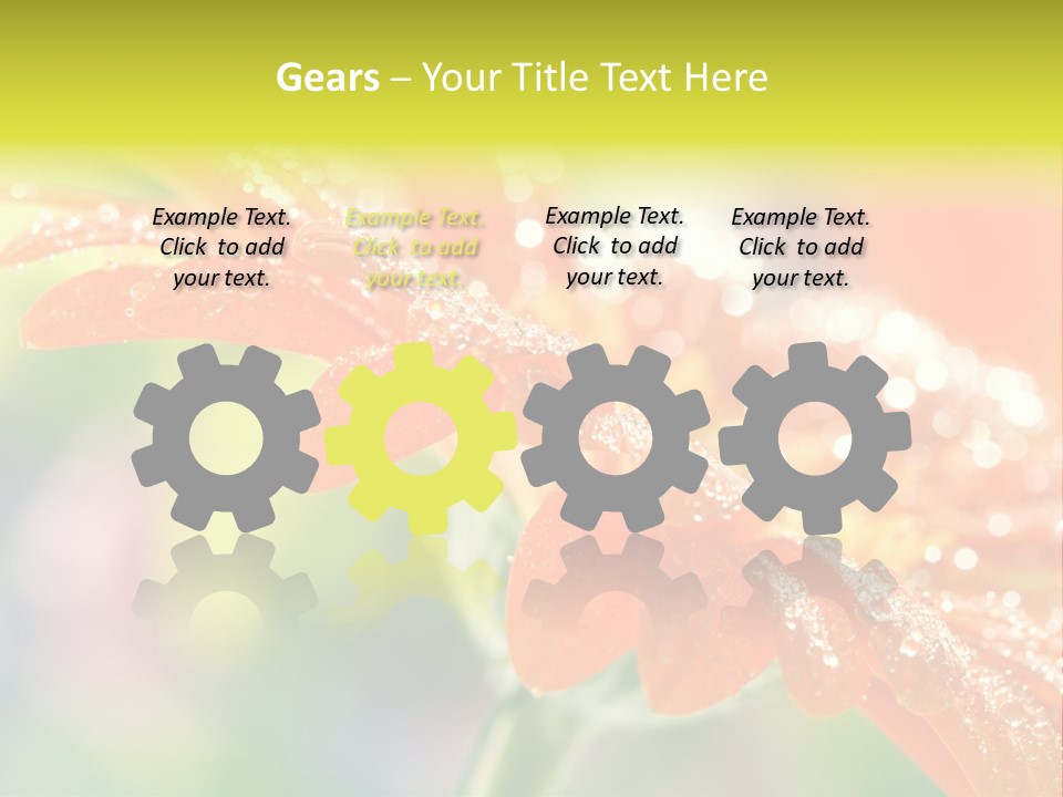 Beautiful Gerbera Petals PowerPoint Template