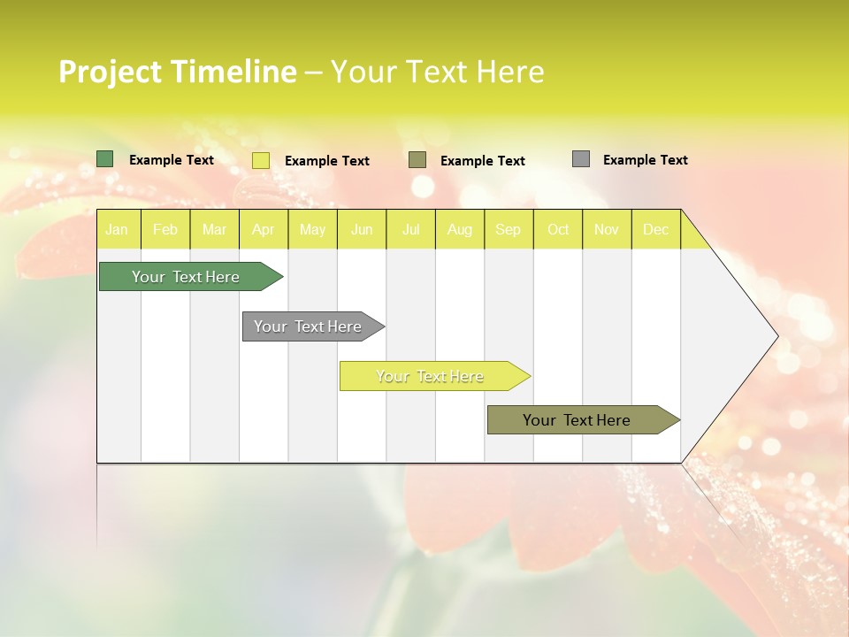 Beautiful Gerbera Petals PowerPoint Template
