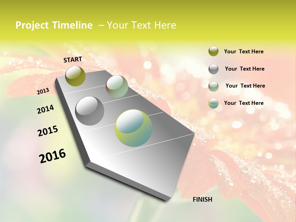 Beautiful Gerbera Petals PowerPoint Template