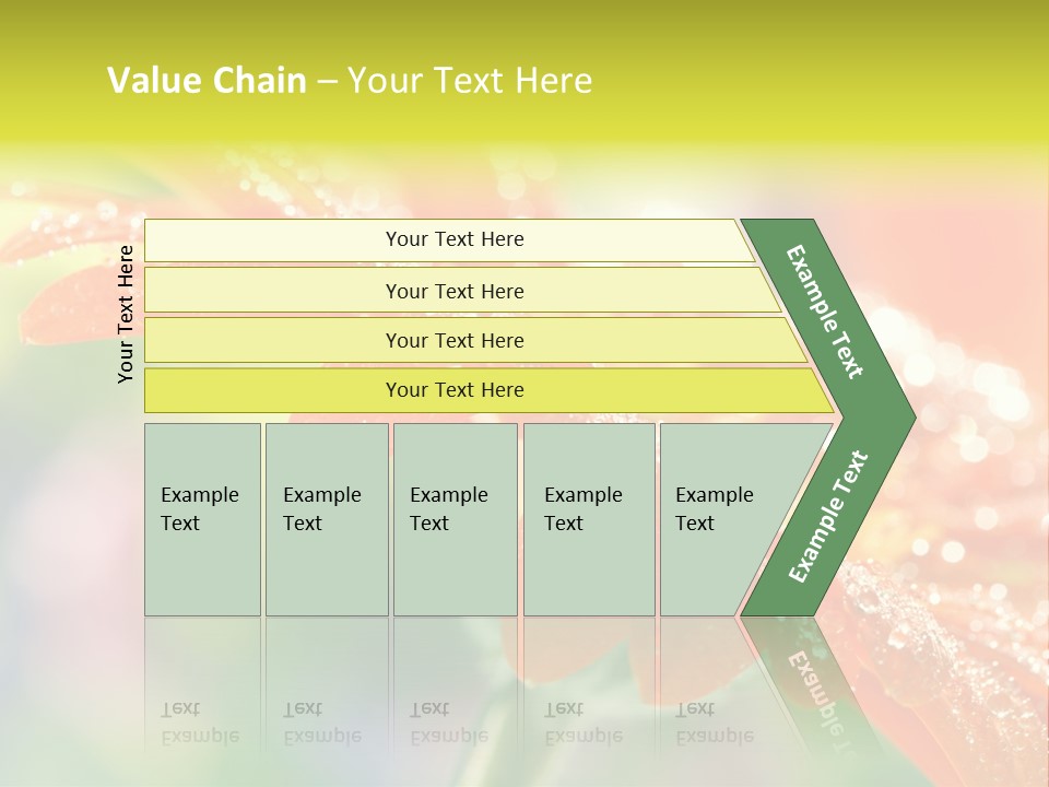 Beautiful Gerbera Petals PowerPoint Template
