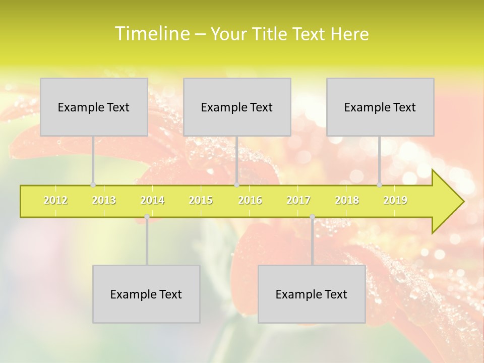 Beautiful Gerbera Petals PowerPoint Template