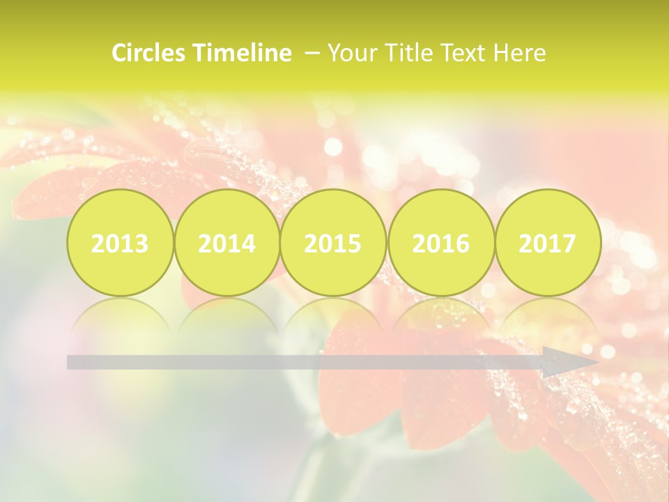 Beautiful Gerbera Petals PowerPoint Template