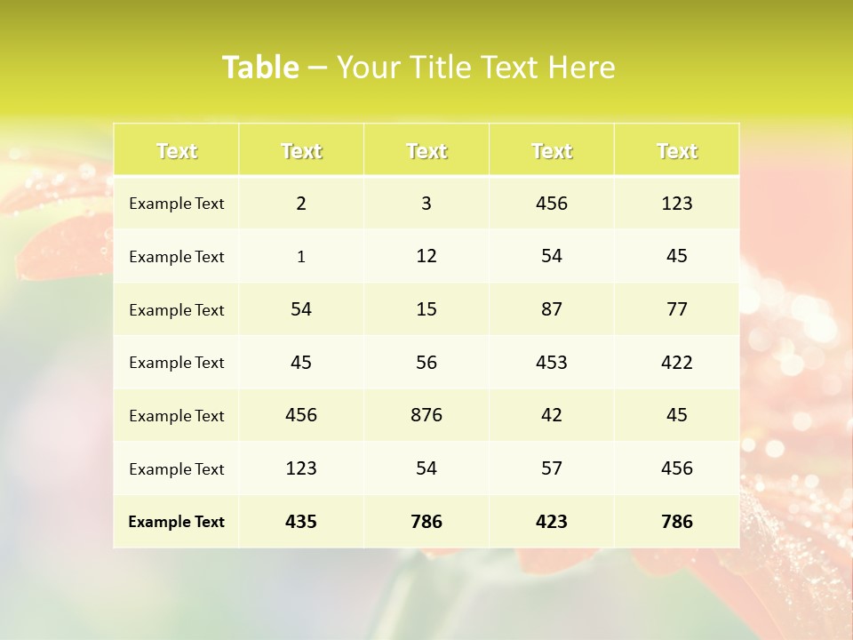 Beautiful Gerbera Petals PowerPoint Template