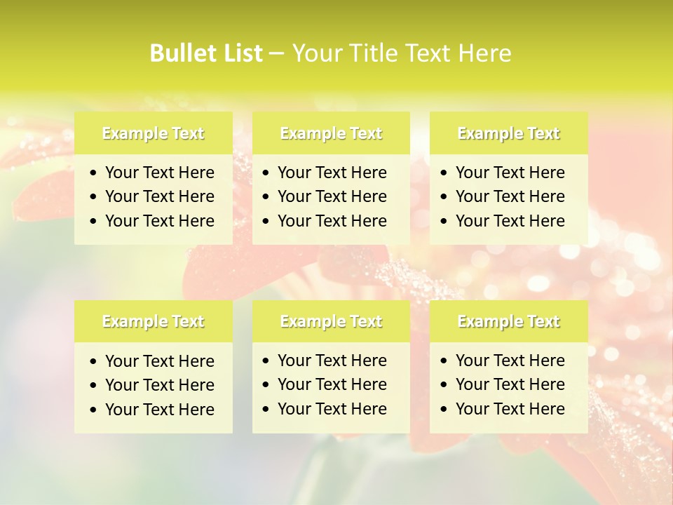 Beautiful Gerbera Petals PowerPoint Template
