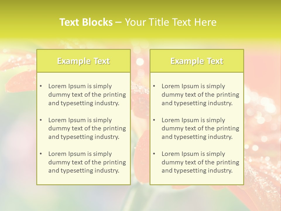 Beautiful Gerbera Petals PowerPoint Template