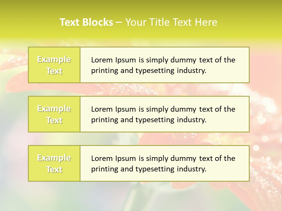 Beautiful Gerbera Petals PowerPoint Template