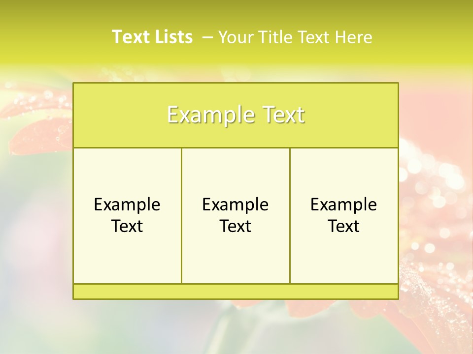 Beautiful Gerbera Petals PowerPoint Template