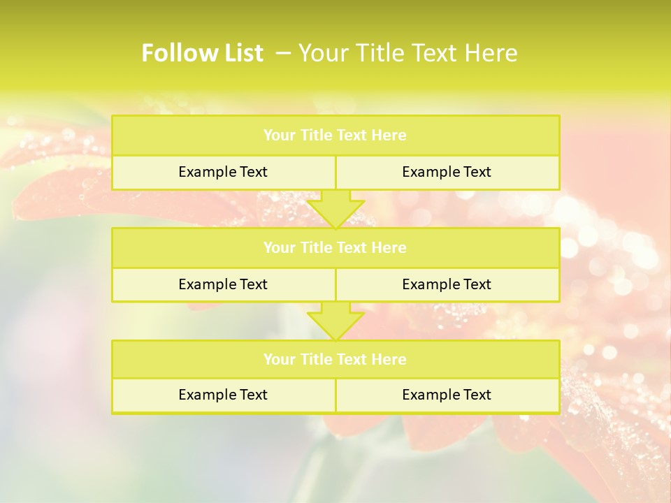 Beautiful Gerbera Petals PowerPoint Template