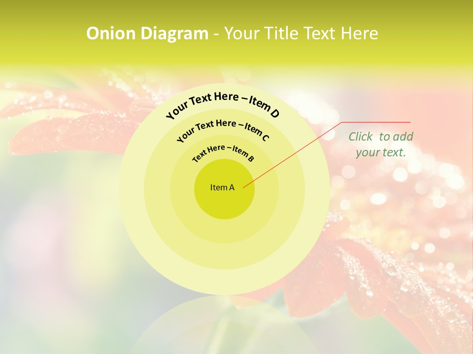 Beautiful Gerbera Petals PowerPoint Template