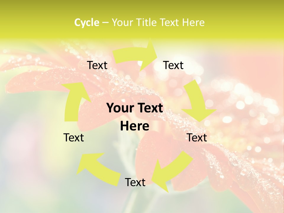 Beautiful Gerbera Petals PowerPoint Template
