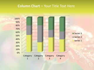 Beautiful Gerbera Petals PowerPoint Template