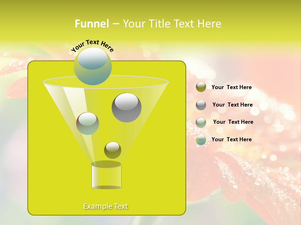 Beautiful Gerbera Petals PowerPoint Template