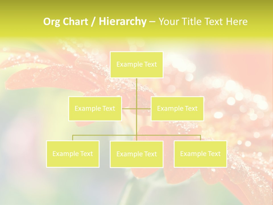 Beautiful Gerbera Petals PowerPoint Template