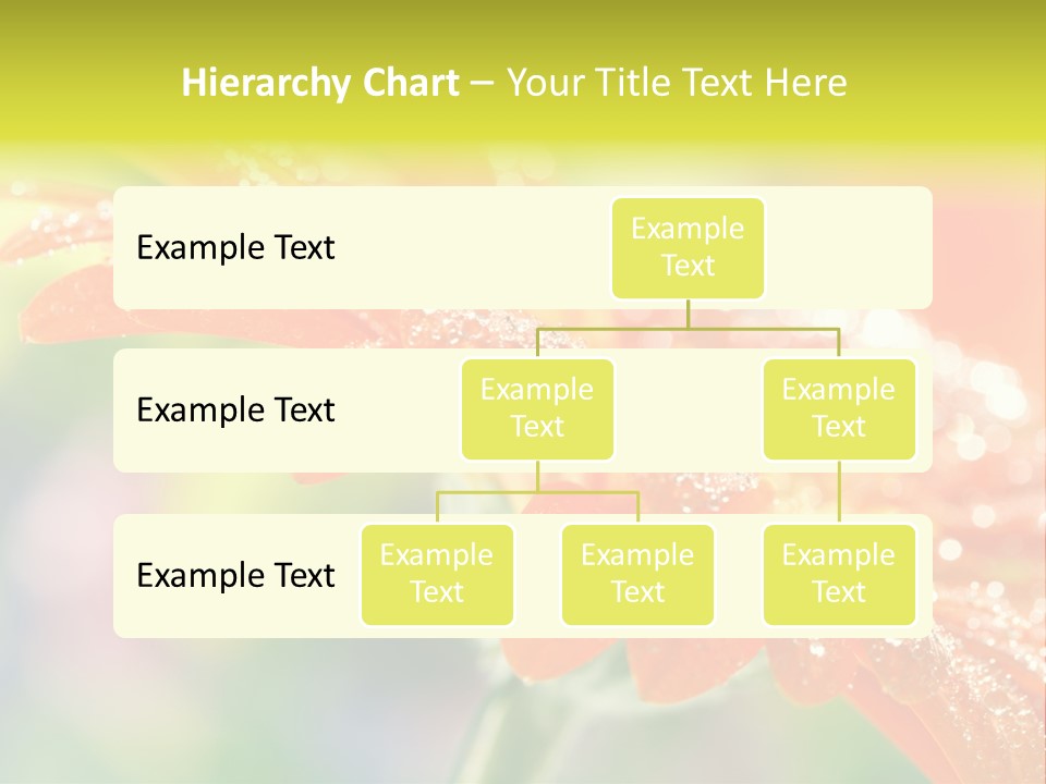 Beautiful Gerbera Petals PowerPoint Template
