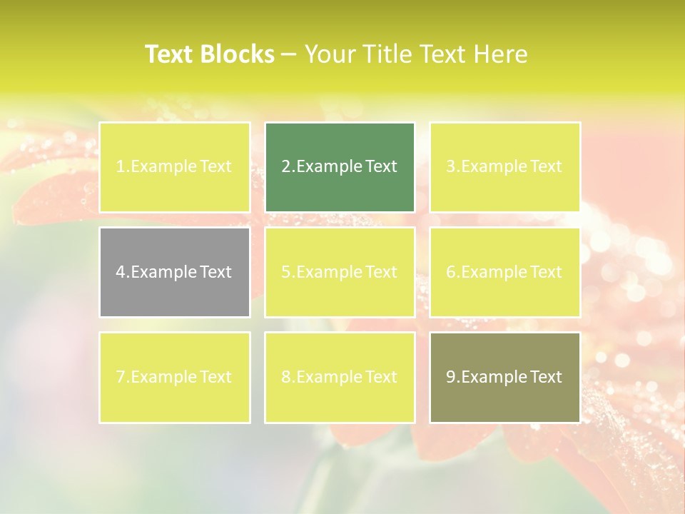 Beautiful Gerbera Petals PowerPoint Template