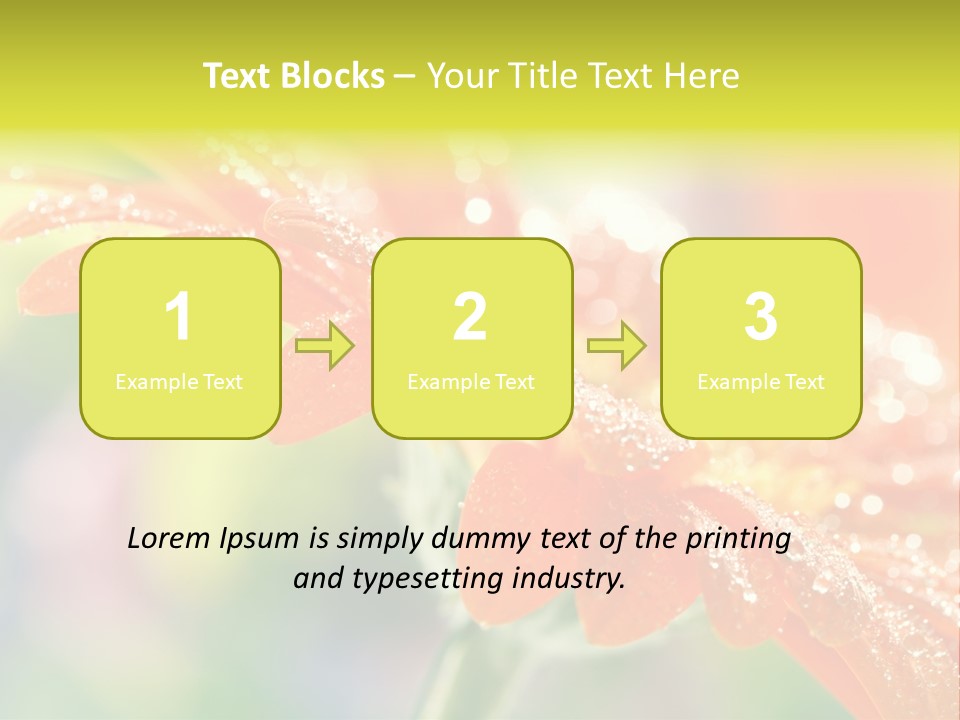 Beautiful Gerbera Petals PowerPoint Template