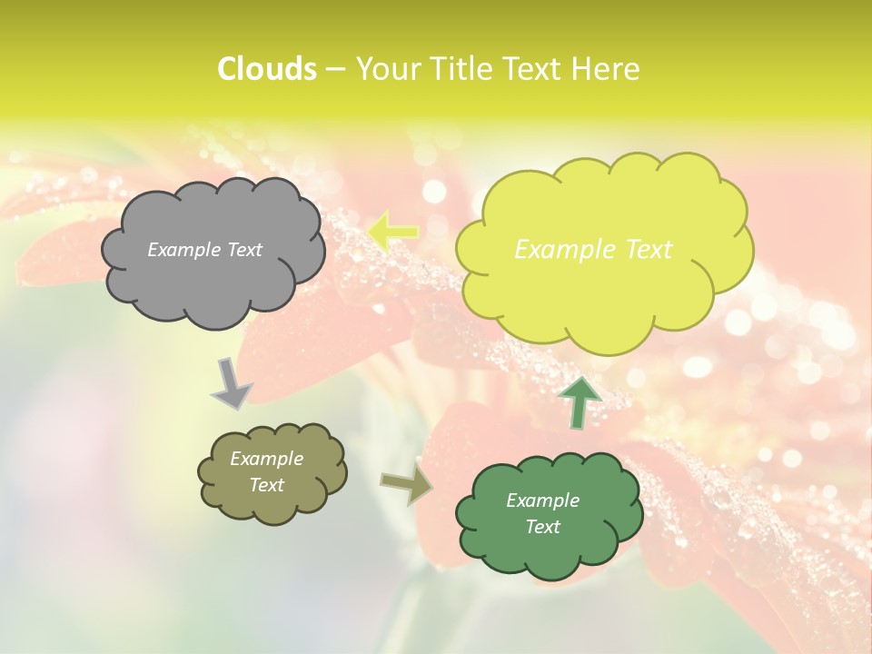 Beautiful Gerbera Petals PowerPoint Template