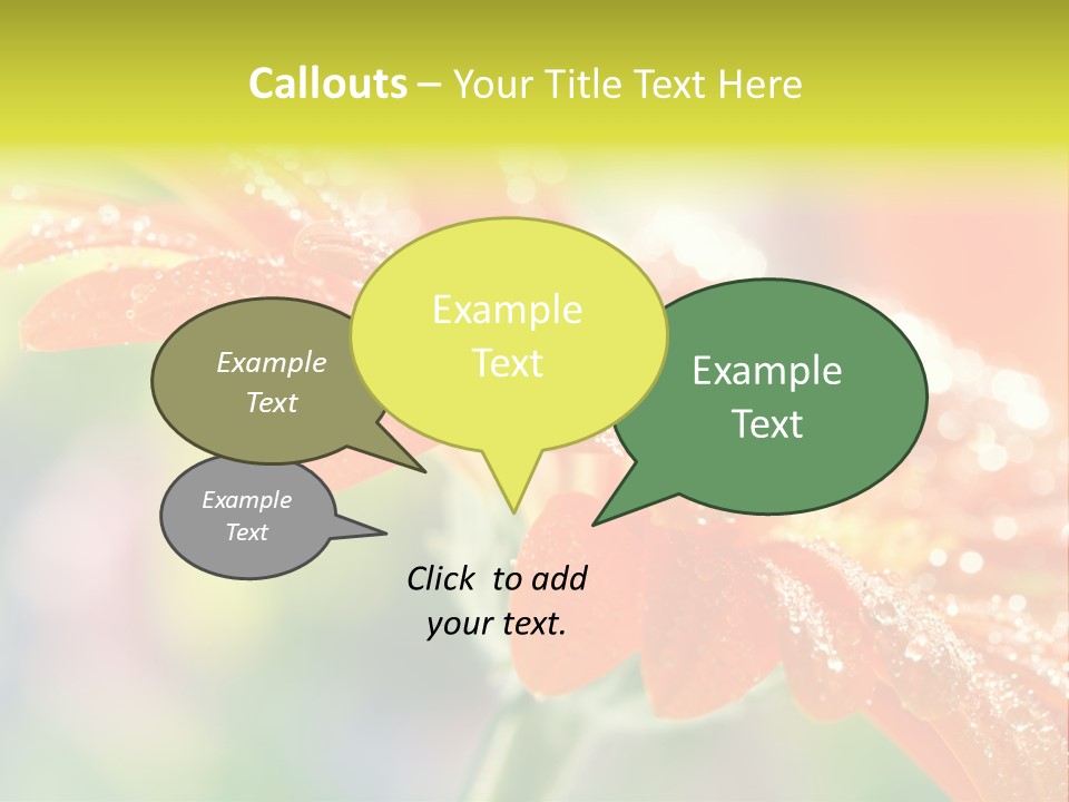 Beautiful Gerbera Petals PowerPoint Template