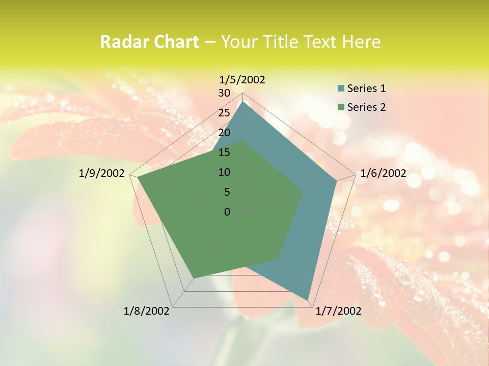 Beautiful Gerbera Petals PowerPoint Template