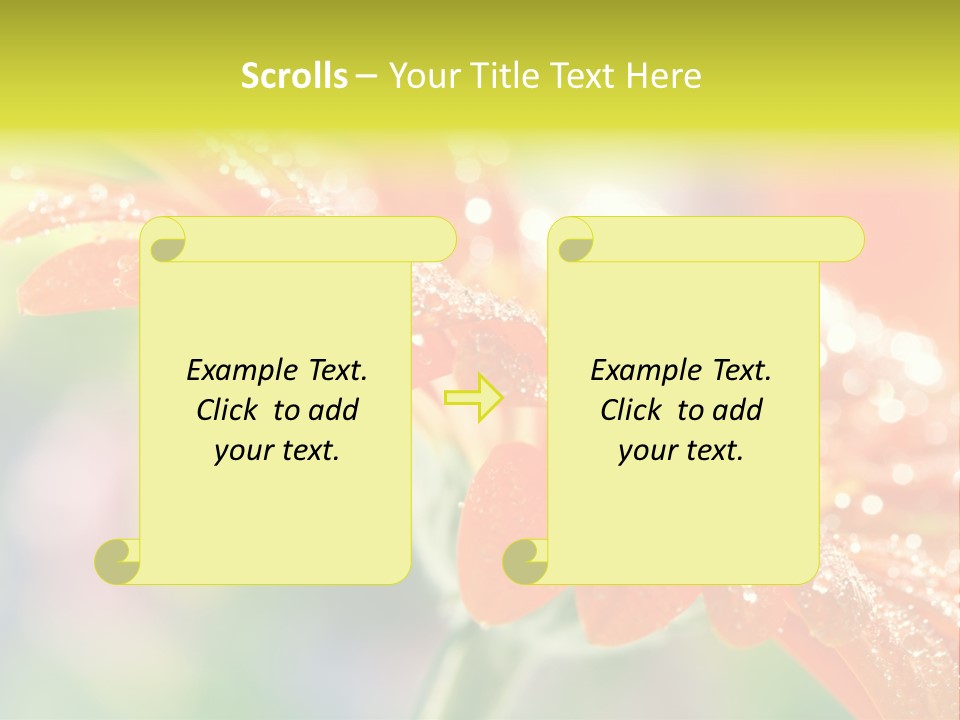 Beautiful Gerbera Petals PowerPoint Template