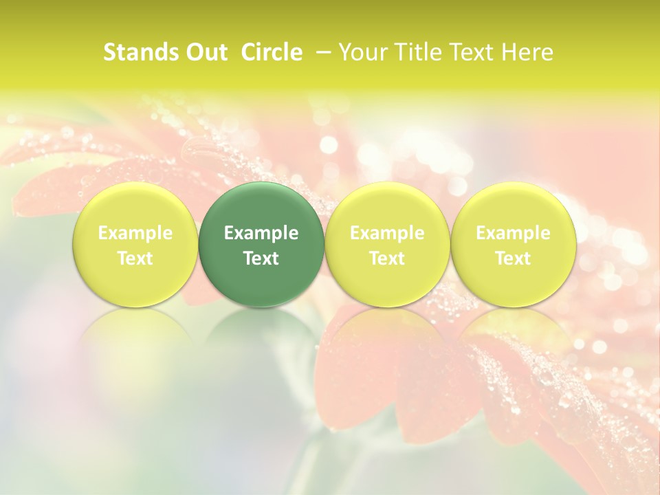 Beautiful Gerbera Petals PowerPoint Template